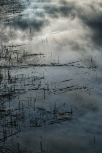Natural Science, Reflection in the water of the sky and trees Natural Science, Reflection in the water of the sky and trees